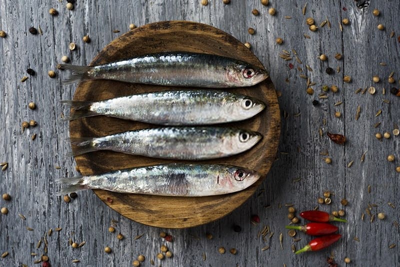 Cosa hanno il sapore delle sardine? Le sardine hanno un buon sapore?