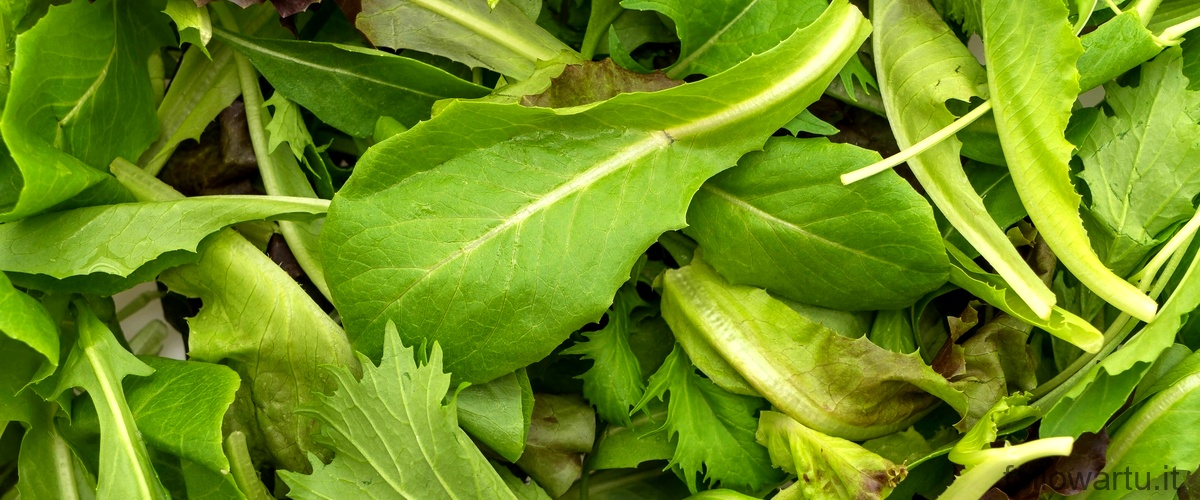 Cosa coltivare dopo gli spinaci?