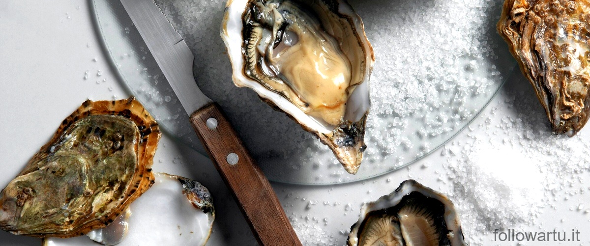 Domanda corretta: Cosa posso usare al posto della salsa di ostriche per unallergia ai frutti di mare?