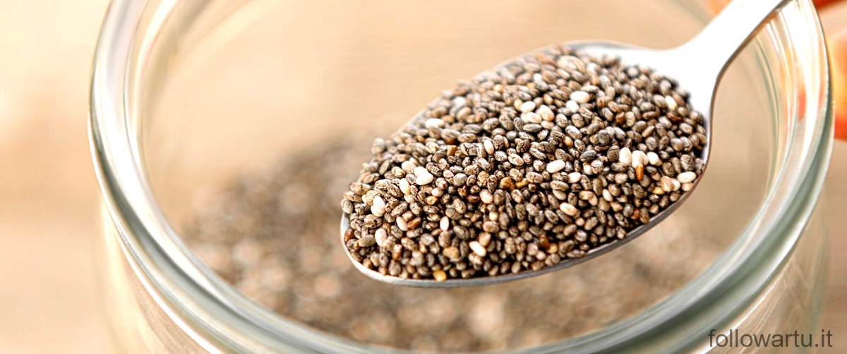 Sostituto olio di semi: alternative per tutte le necessità