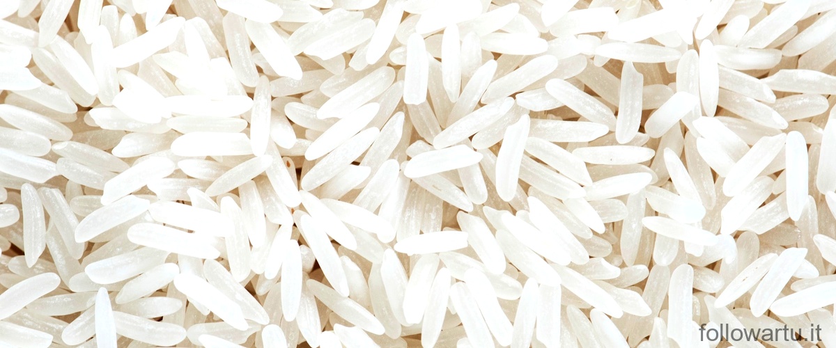 Qual è il riso che assorbe più acqua?