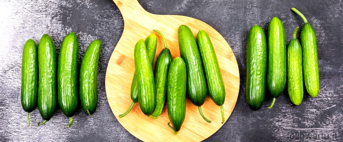 Spezie per zucchine: scopri come esaltare il loro sapore in padella