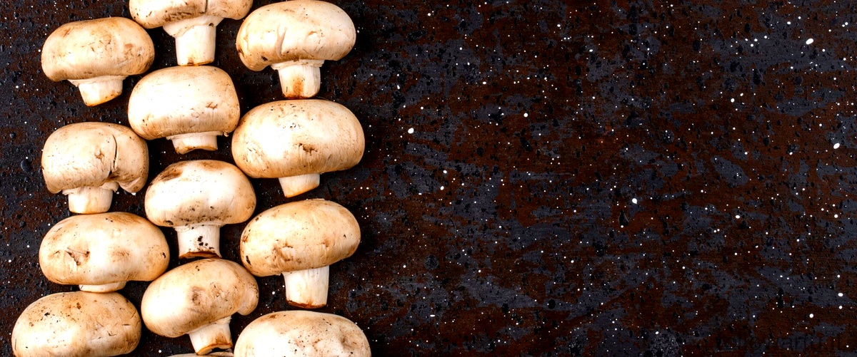 Quando non si possono più mangiare i funghi?