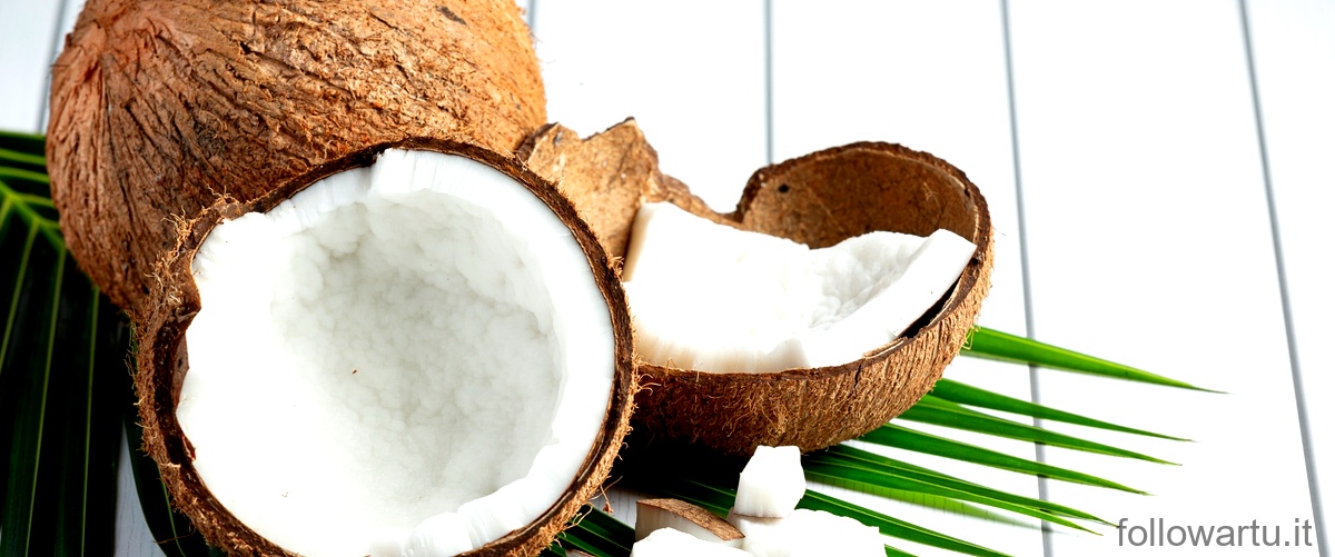 Quanta olio di cocco si può mangiare al giorno?