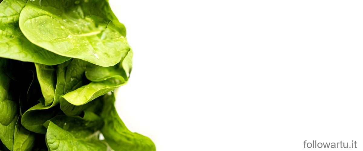Quante volte innaffiare gli spinaci?