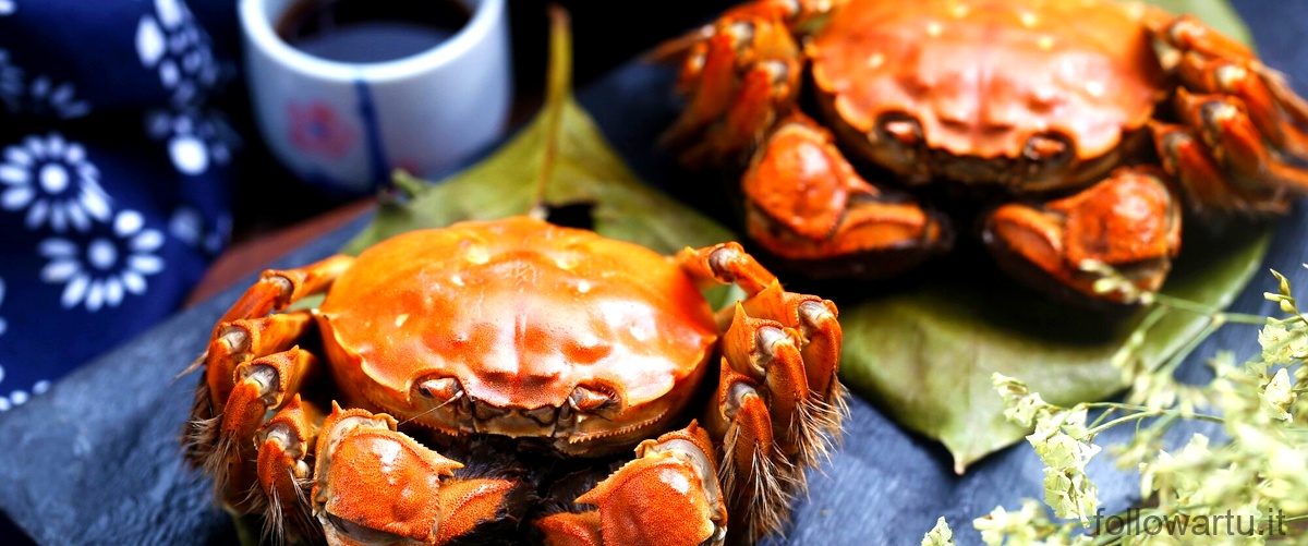 Wonton wrappers fatti in casa: la chiave per un Crab Rangoon irresistibile